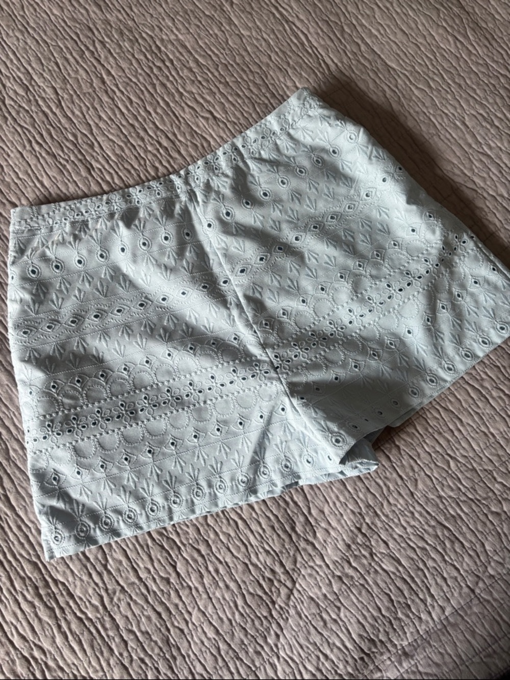 Blue Rain by Francesca's Light Blue Eyelet Lace Shorts - Large